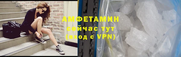 гидра Алексеевка