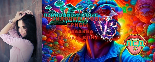 гидра Алексеевка