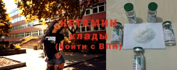 крисы Алексин