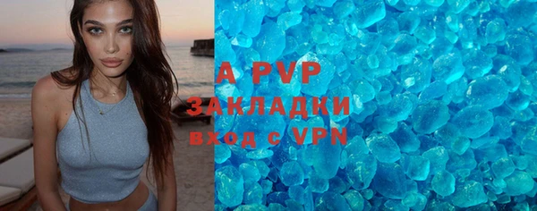 крисы Алексин
