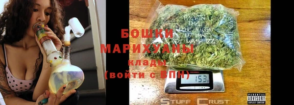 мдпв Кодинск