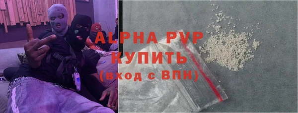 крисы Алексин