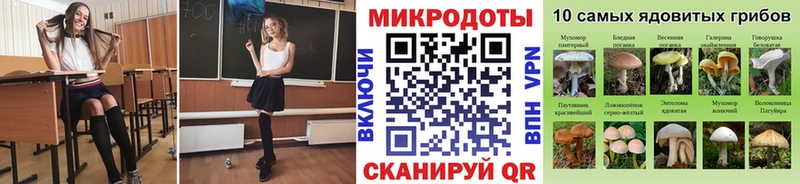 Псилоцибиновые грибы Psilocybe  Дыгулыбгей 