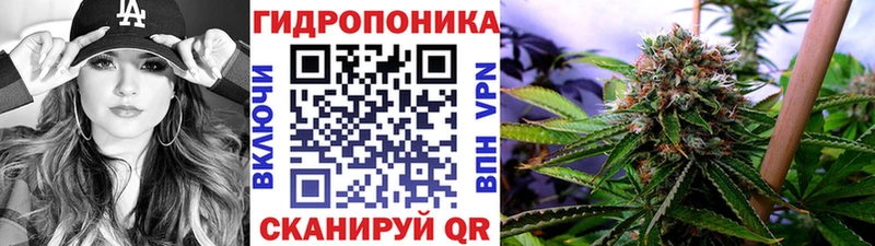 наркота  OMG зеркало  Бошки Шишки OG Kush  Дыгулыбгей 